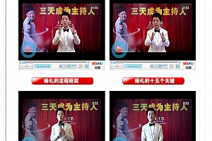 中国婚庆培训教程 婚礼策划方案大全 主持人司仪资料文案 12DVD(tbd)