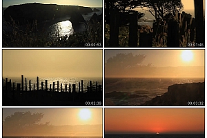 高清实拍 城市 人物 自然 影视后期制作素材库  720P-1080P(tbd)