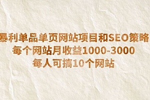 暴利单品单页网站项目和 SEO 策略:每个网站月收益 1000~3000 每人可开 10 多个